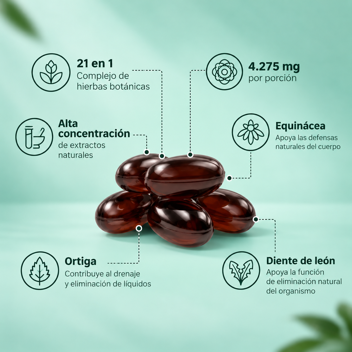 Vuelve a sentirte ligera, con energía y cómoda con tu cuerpo.